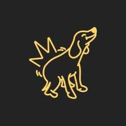 Donk